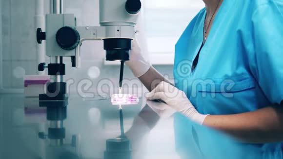 女科学实验室的工作人员正在做一项显微镜下的研究视频的预览图