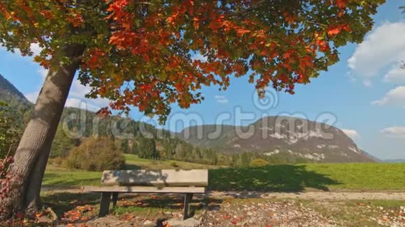 斯洛文尼亚博欣吉湖岸边秋树下的空凳视频的预览图