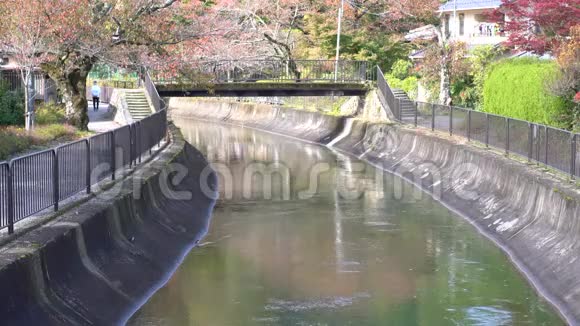 秋季从京都亚马西纳的安舒桥上观赏琵琶湖运河或琵琶湖水视频的预览图