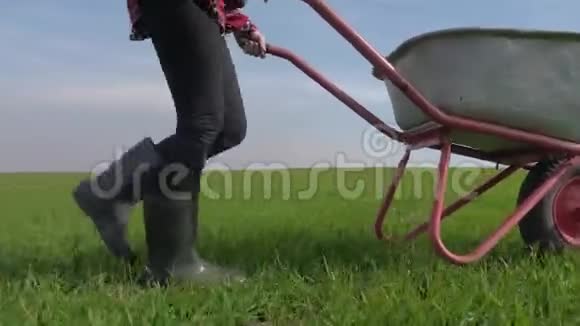 农民女孩红脖子生活方式工作在田间与花园手推车在橡胶靴农民生态农业视频的预览图