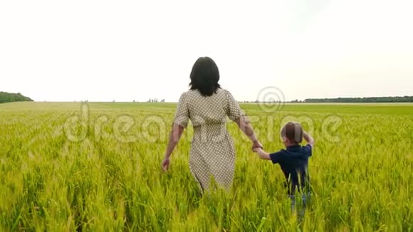 一位年轻的母亲和她的孩子慢吞吞地牵着手跑过一片青黄相接的麦田视频的预览图
