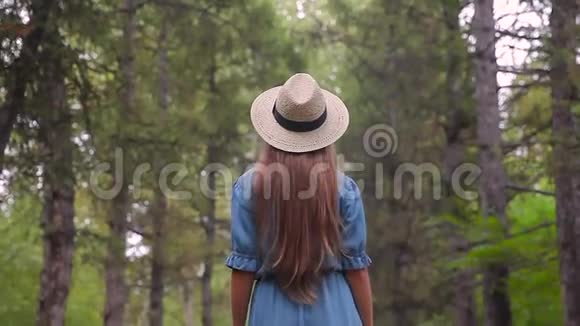 一位年轻的美女在松林中走过一条小路视频的预览图