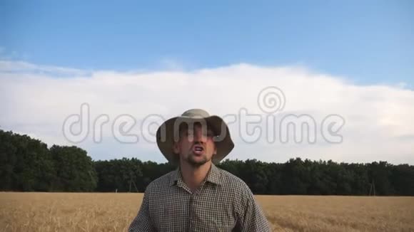 年轻的愤怒的农民跑着穿过麦田试图抓住某人烦人的农学家慢跑视频的预览图