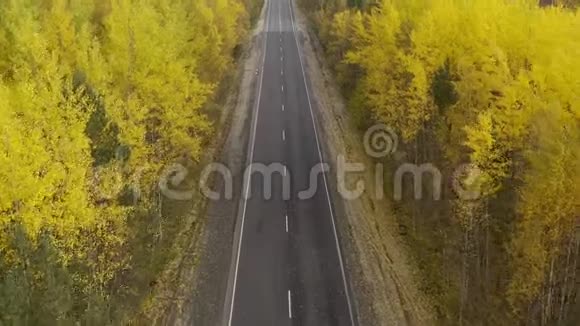 秋天公路顶景旅行背景黄落林中的路在晴朗的秋日上高速公路视频的预览图