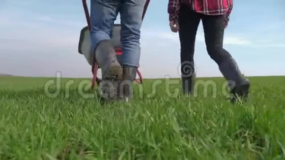 幸福的农民家庭团队合作红脖子在田间工作一辆花园手推车穿着橡胶靴男女农民视频的预览图
