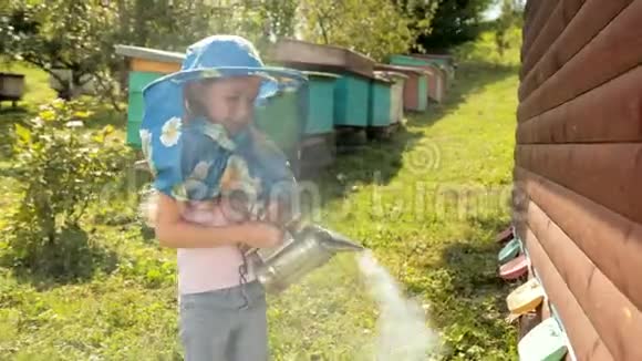 穿着养蜂专用衣服的小女孩抱着烟鬼让蜜蜂安静下来视频的预览图