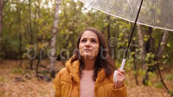一个年轻漂亮的女人拿着伞在秋天公园里下雨的画像视频的预览图
