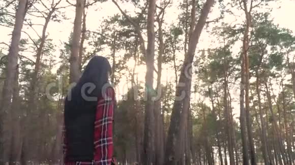 女孩走在公园阳光初春的松树上概念旅行假期周末徒步行走的女人视频的预览图