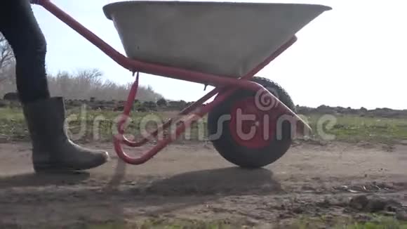 农夫女孩红脖子在泥土里工作穿着橡胶靴的花园手推车农民生态农业视频的预览图