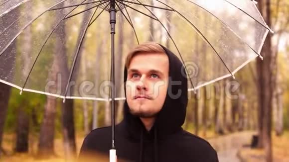 一个有思想的年轻人撑着伞在雨天沿着秋天公园散步的画像视频的预览图