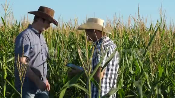种植玉米的农民团队合作和胜利商人用平板电脑检查他们的田地和玉米概念视频的预览图