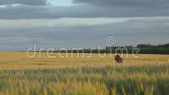 有翅膀的女孩在夏天的田野上奔跑想起飞后视女孩梦想飞翔视频的预览图