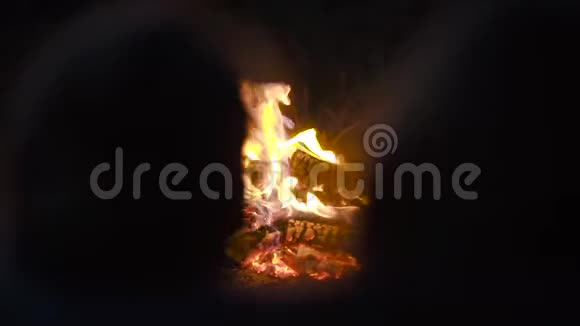 在大自然的夜晚篝火视频的预览图
