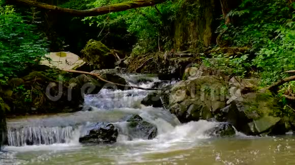 快石山野河在茂密的绿林中流淌视频的预览图