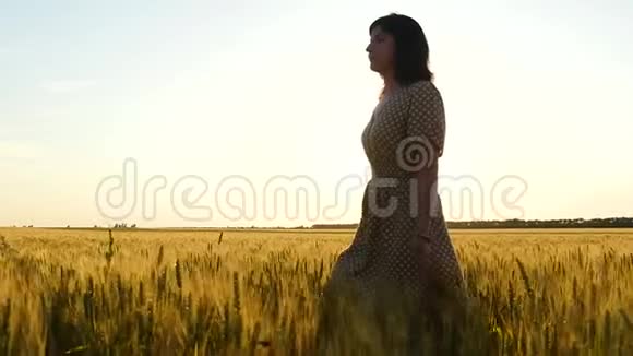 一个穿着连衣裙的小女孩在一片金色的麦田上慢悠悠地走着用手摸着耳朵视频的预览图