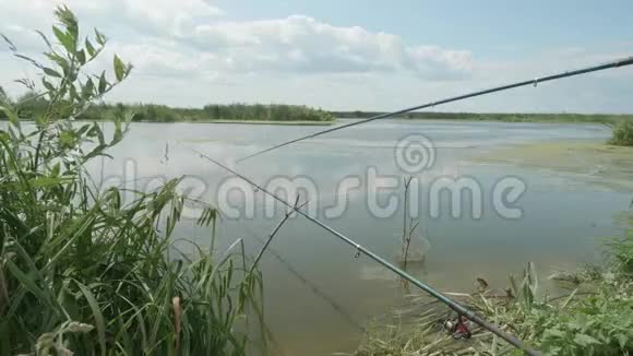 用两根钓鱼竿观赏天然池塘男人爱好和休闲夏日的早晨视频的预览图