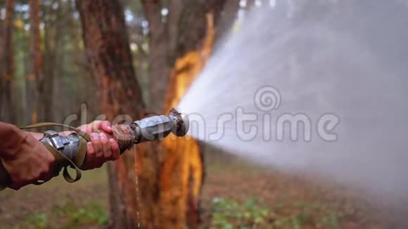 男人手里拿着消防水管在松林里水在压力下流动视频的预览图