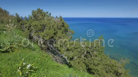 阳光明媚的塞浦路斯高海岸海景全景视频的预览图