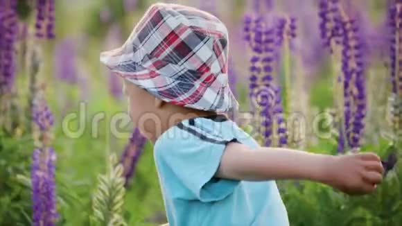 母亲和儿子带着鲜花在田野里奔跑和玩耍视频的预览图