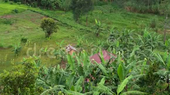 2019年12月南非从乌干达到乌干达的道路上俯瞰着一个非洲村庄种植园田野和自然视频的预览图