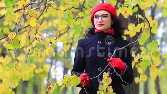 一个美丽的女人在秋天的公园里散步和倒影老师天视频的预览图