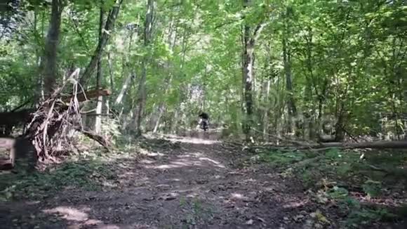 一个骑自行车的人骑着摩托车在森林小径上的阳光下骑摩托车穿越ATV视频的预览图