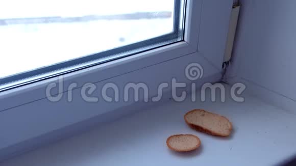 窗台上的面包片视频的预览图