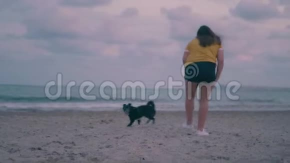 日落时分小女孩和她的黑狗在海滩上玩耍视频的预览图