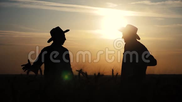 农业耕作两个农民团队合作在一片土地上握手红脖子在日落时检查小麦作物男性农民视频的预览图