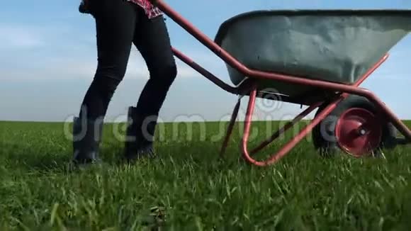 农民女孩红脖子工作的生活方式田间与花园手推车在橡胶靴农民生态农业视频的预览图