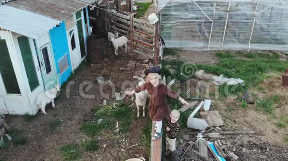 村里的俄国孩子在谷仓和山羊中间视频的预览图
