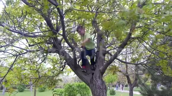 男孩正在城市公园的大树上攀爬孩子在户外活动视频的预览图