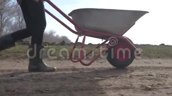 农夫女孩红脖子在泥土里工作穿着橡胶靴的花园手推车农民生态农业视频的预览图