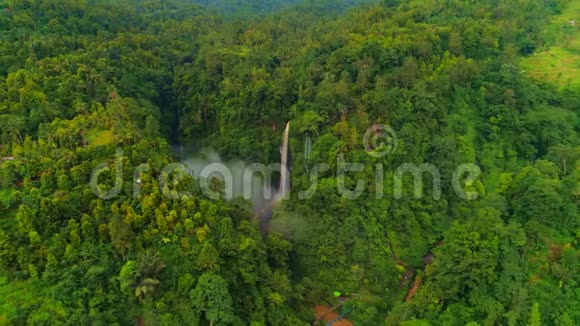 巴厘岛瀑布空中有很多尝试视频的预览图