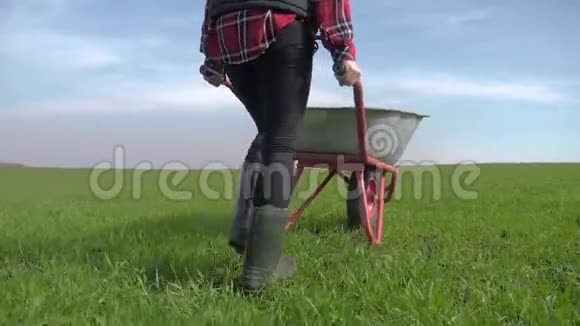 农民女孩红脖子在田里工作穿着橡胶靴的花园手推车农民生态农业耕作收获视频的预览图