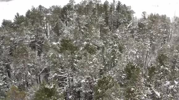一览神奇冬木有大雪视频的预览图