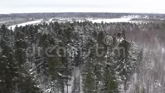 一览神奇冬木有大雪视频的预览图