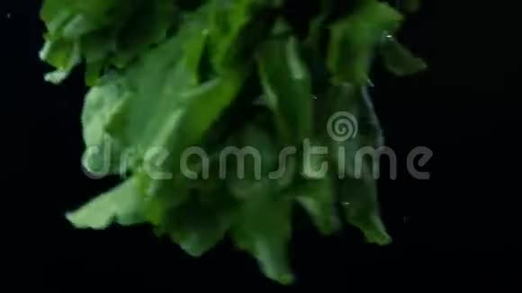 绿色有机生菜沙拉与水滴特写黑色背景视频的预览图