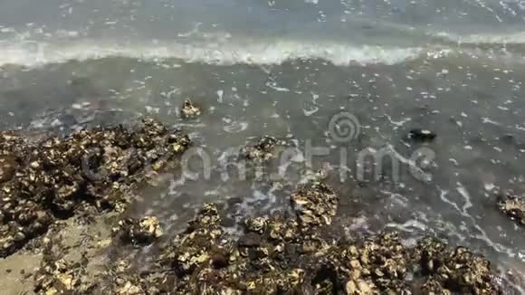 小浪涌向雪莱海岸靠近头顶的景色视频的预览图