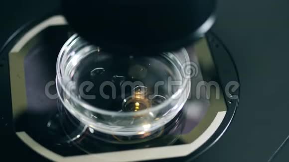 实验室设备下的物质滴视频的预览图