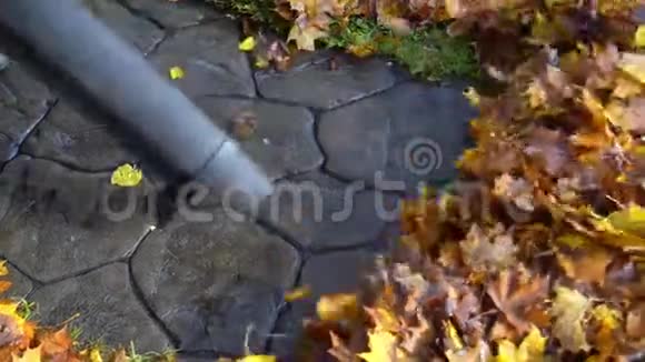 吹叶器工具吹树叶石卵石小径花园视频的预览图