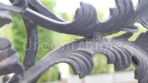 用黑色金属花装饰的花园熟铁栅栏视频的预览图