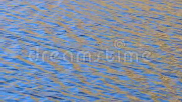 蓝山湖水与夕阳的金色光芒相撞视频的预览图