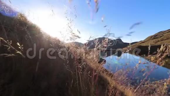 穿过玻利维亚安第斯山脉的金草视频的预览图
