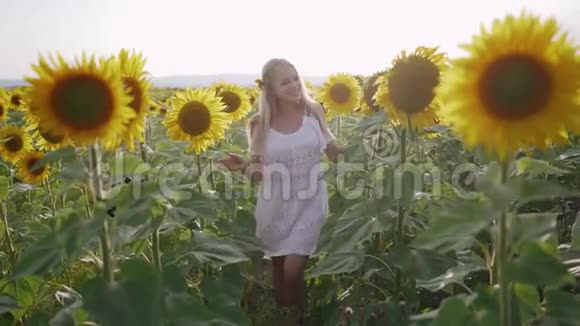 一个漂亮的女孩穿过高高的向日葵一个年轻的女人带着向日葵穿过田野视频的预览图