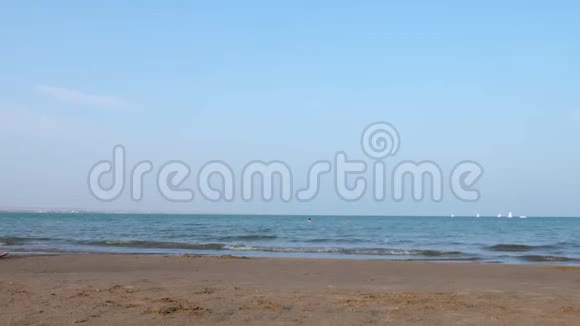 在日落海滩漫步浪漫的拥抱在海岸附近牵手视频的预览图