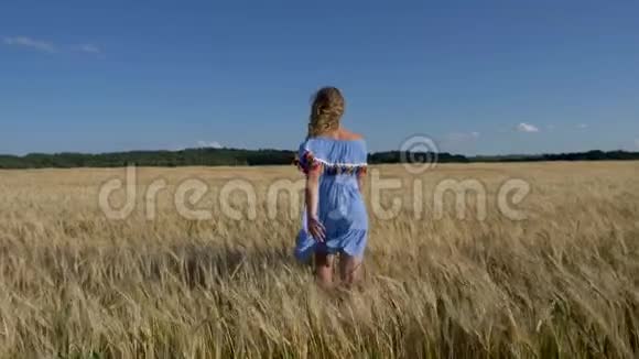 美丽的女孩走过成熟的小麦视频的预览图