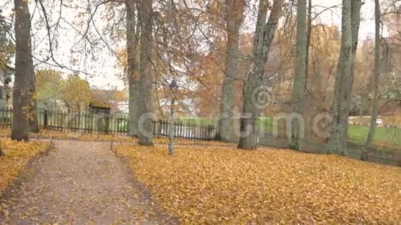 在村庄的院子里多云的秋日摄像机沿着小径移动环绕着许多树视频的预览图