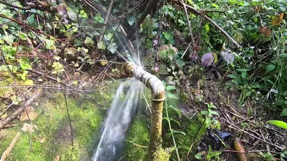 水花四溅视频的预览图