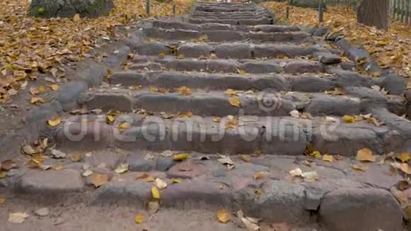 在阴晴不定的秋日照相机慢慢地爬上石阶环绕着黄色的树叶视频的预览图